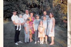 image366